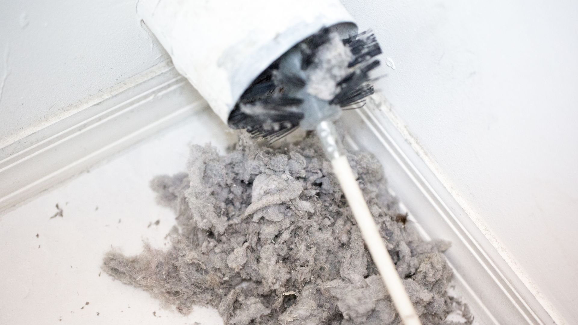 Lint and dust collected from dryer, showing gray fuzzy debris